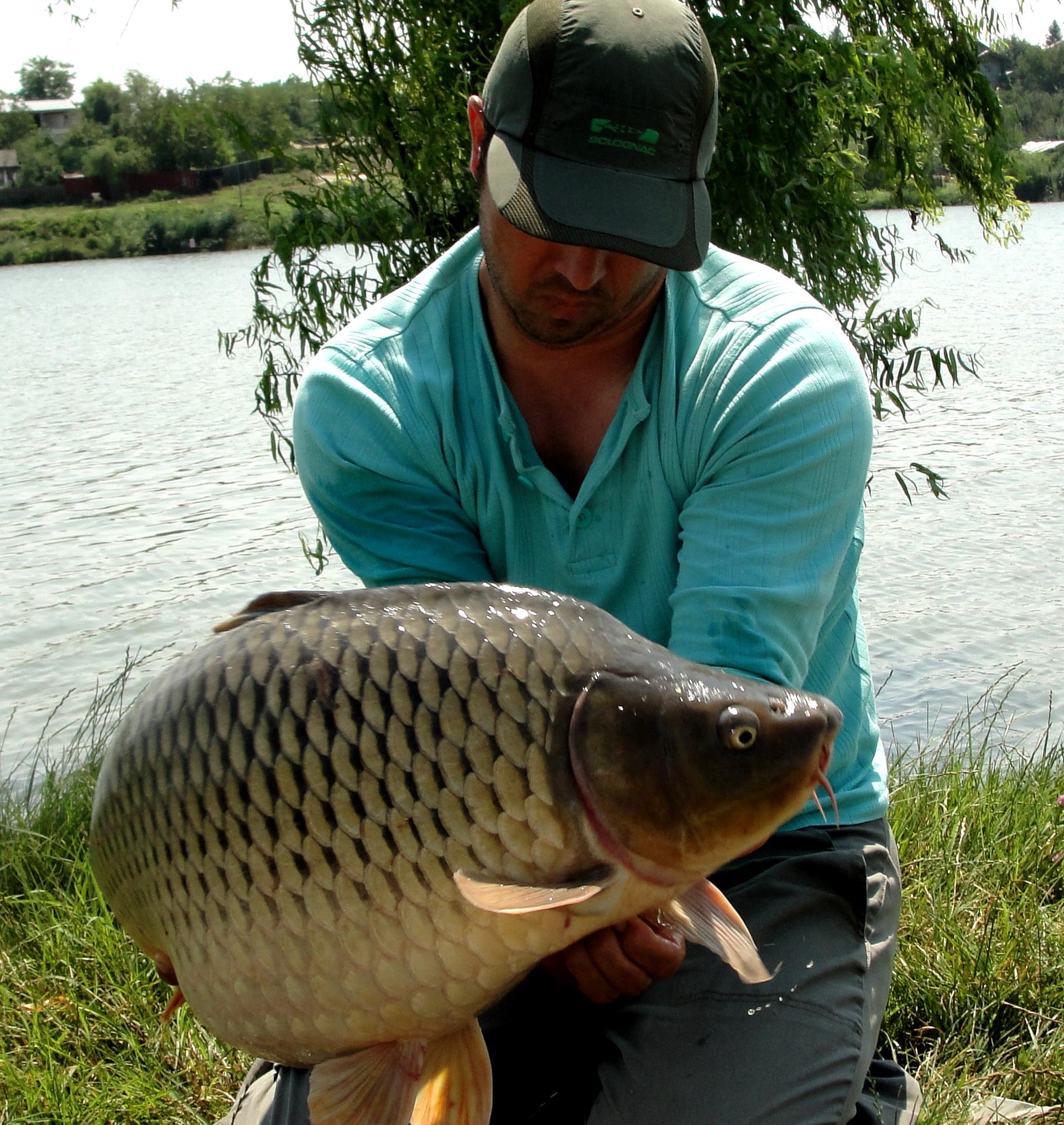 Moara Vlasiei 2 14 - 15 august 2014 - dsc04441.JPG